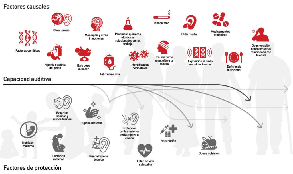 ¿Por qué es importante cuidar la audición a lo largo de la vida?