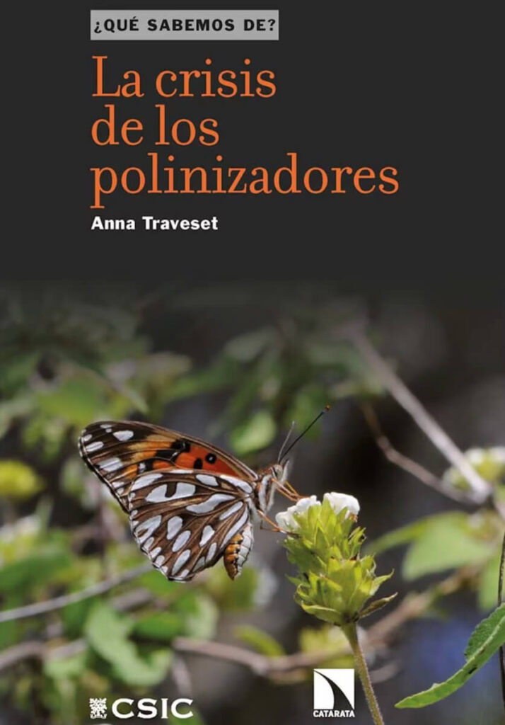 La extinción de los polinizadores pone en riesgo la biodiversidad y la salud